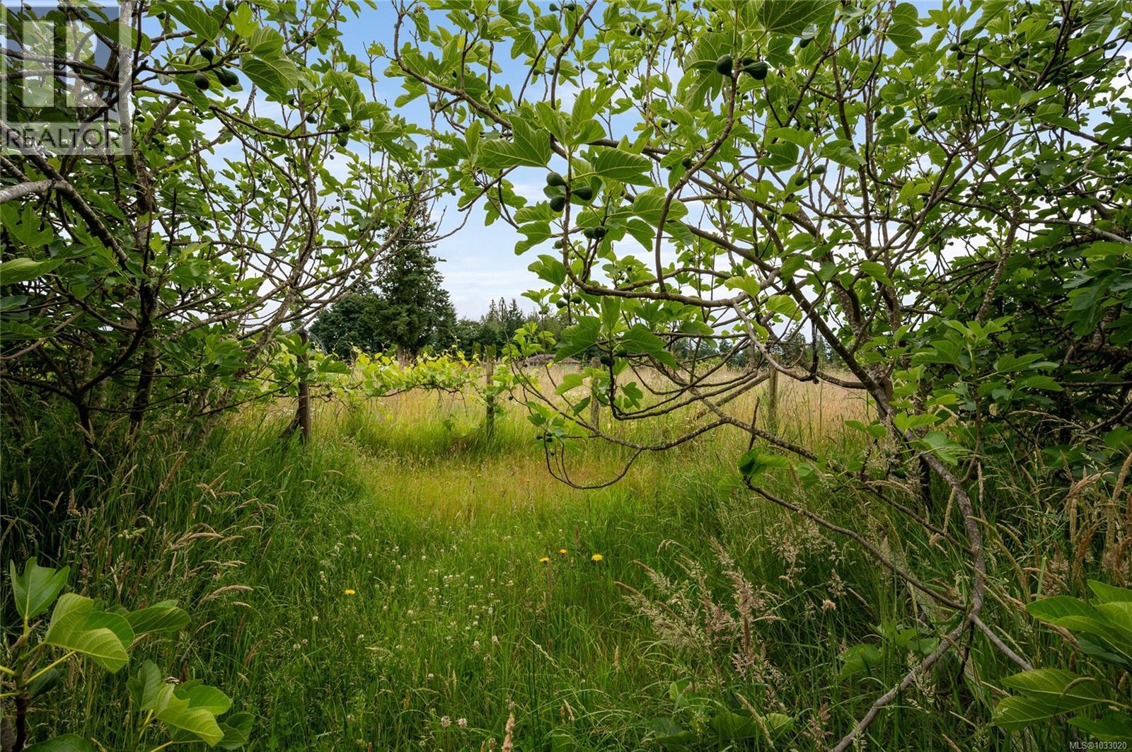 1550 Robson Lane S, Cowichan Bay, British Columbia  V0R 1N1 - Photo 53 - 1033020