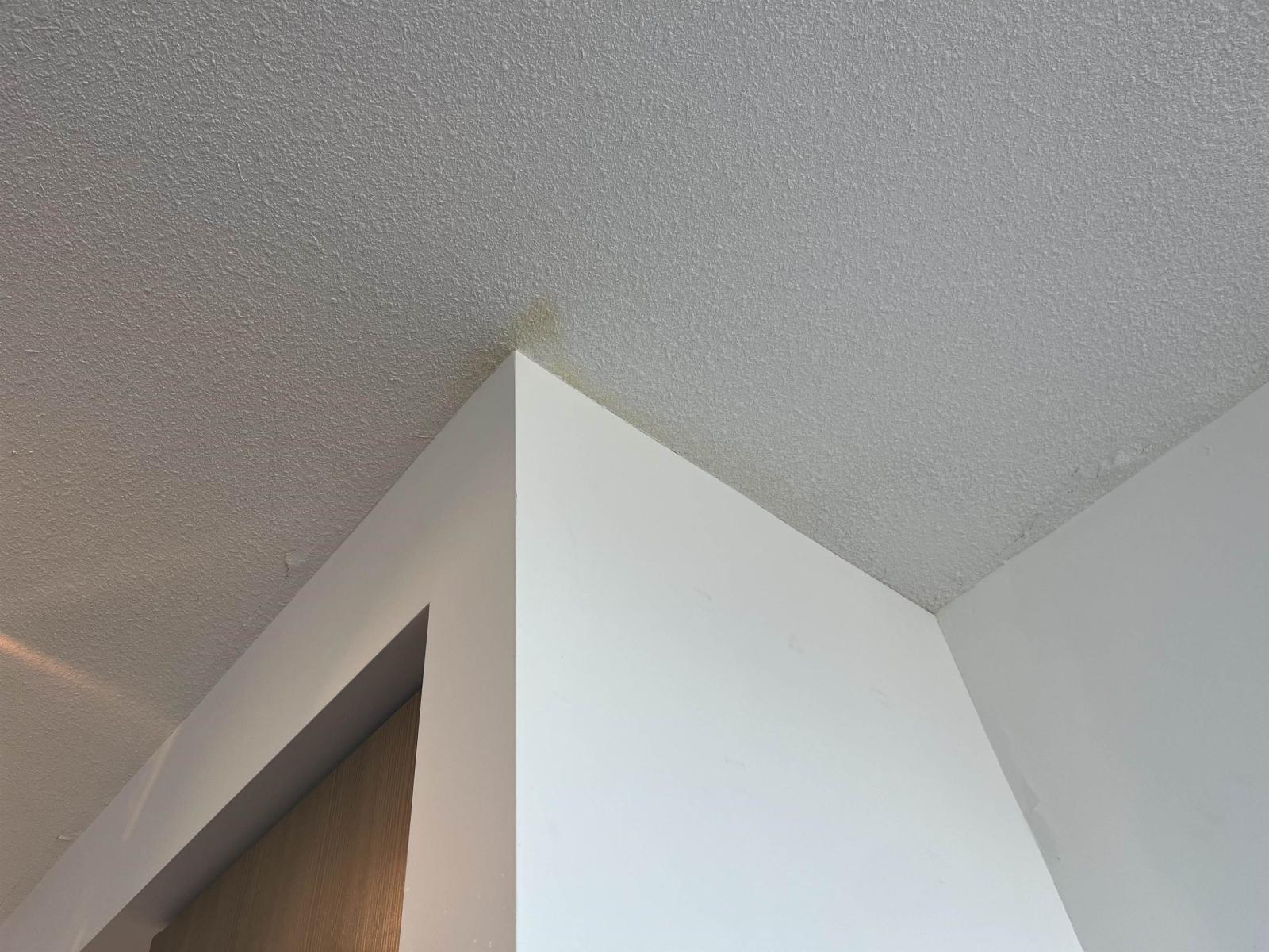 416 3528 146a Street, Surrey, British Columbia  V4P 0H4 - Photo 1 - R3115216