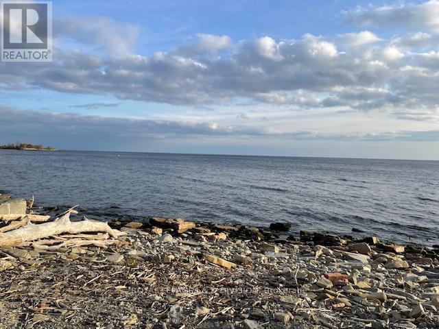 99 Lake Promenade, Toronto, Ontario  M8W 1A2 - Photo 20 - W12538034