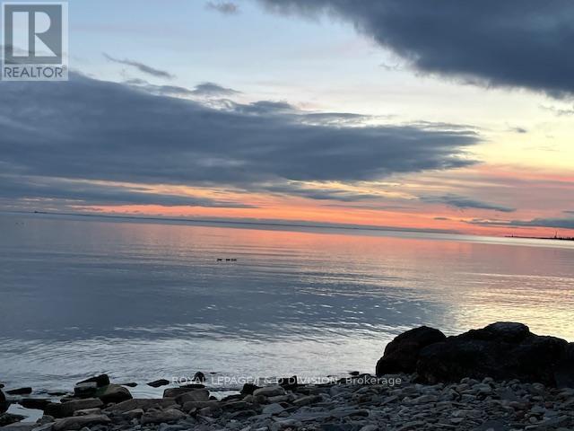 99 Lake Promenade, Toronto, Ontario  M8W 1A2 - Photo 21 - W12538034