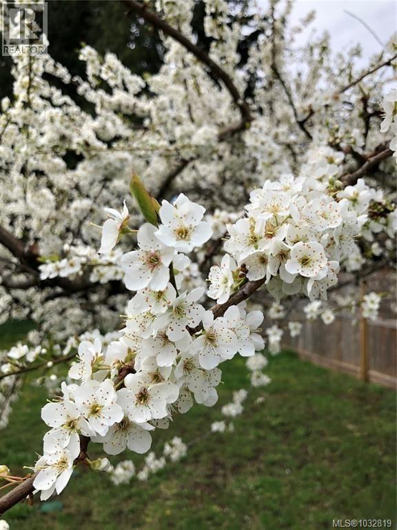 1520 King Rd, Qualicum Beach, British Columbia  V9K 2A8 - Photo 24 - 1032819