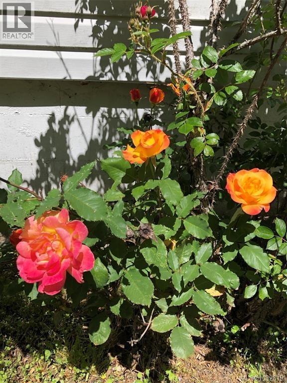 1520 King Rd, Qualicum Beach, British Columbia  V9K 2A8 - Photo 27 - 1032819