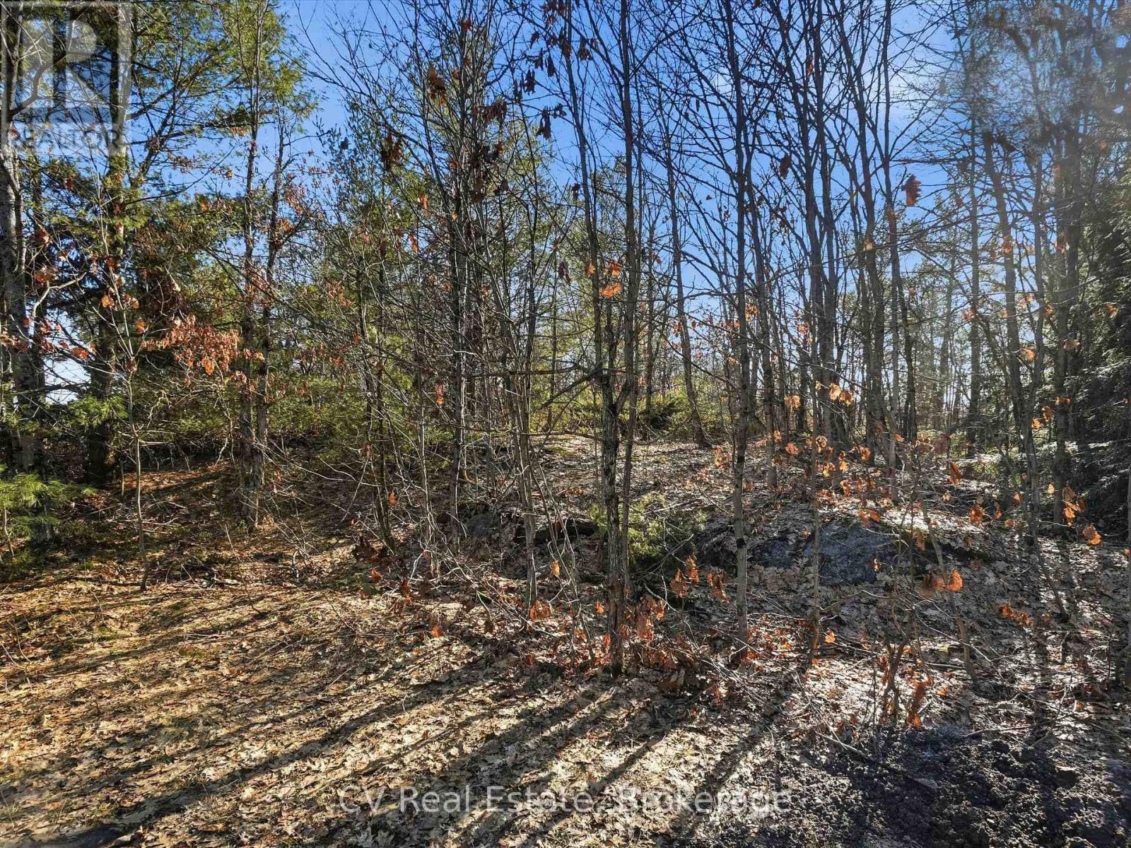 1670 Muskoka Rd 38, Muskoka Lakes, Ontario  P0C 1A0 - Photo 28 - X13037842