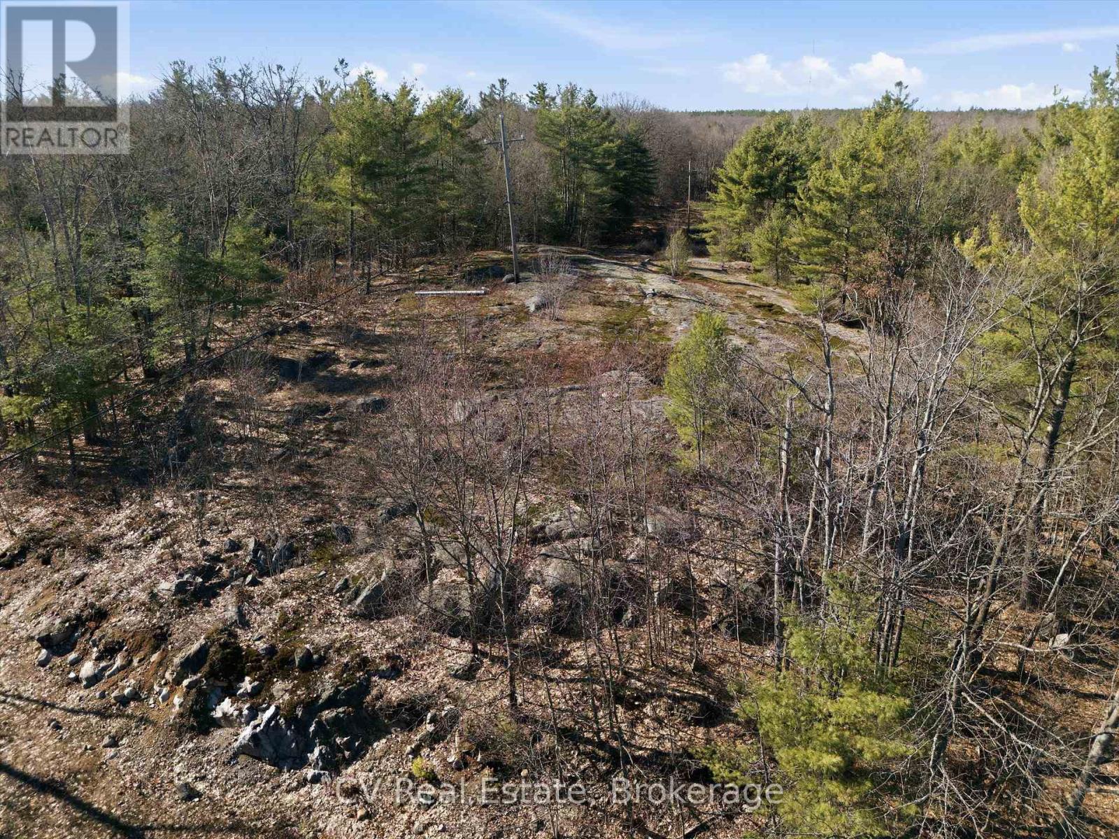 1670 Muskoka Rd 38, Muskoka Lakes, Ontario  P0C 1A0 - Photo 32 - X13037842