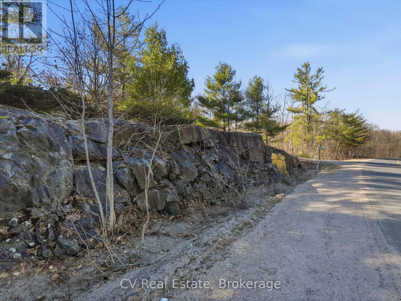 1670 Muskoka Rd 38, Muskoka Lakes, Ontario  P0C 1A0 - Photo 37 - X13037842