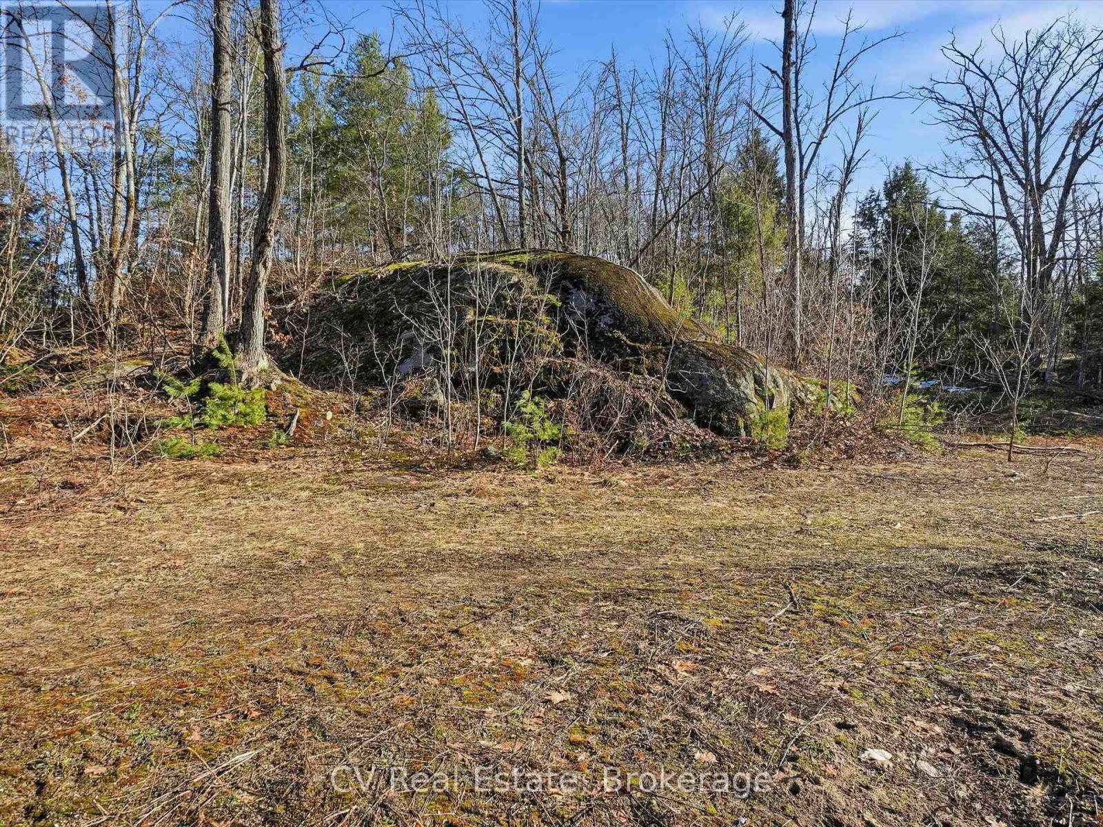 1670 Muskoka Rd 38, Muskoka Lakes, Ontario  P0C 1A0 - Photo 43 - X13037842