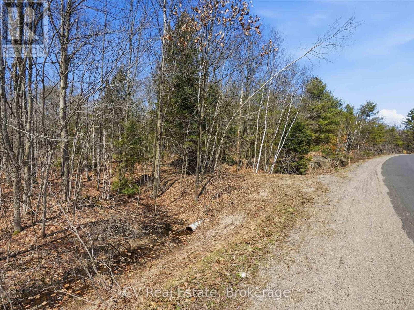 1670 Muskoka Rd 38, Muskoka Lakes, Ontario  P0C 1A0 - Photo 5 - X13037842