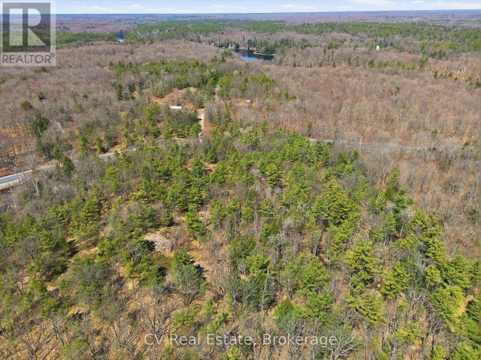 1671 Muskoka Rd 38, Muskoka Lakes, Ontario  P0C 1A0 - Photo 10 - X13037850