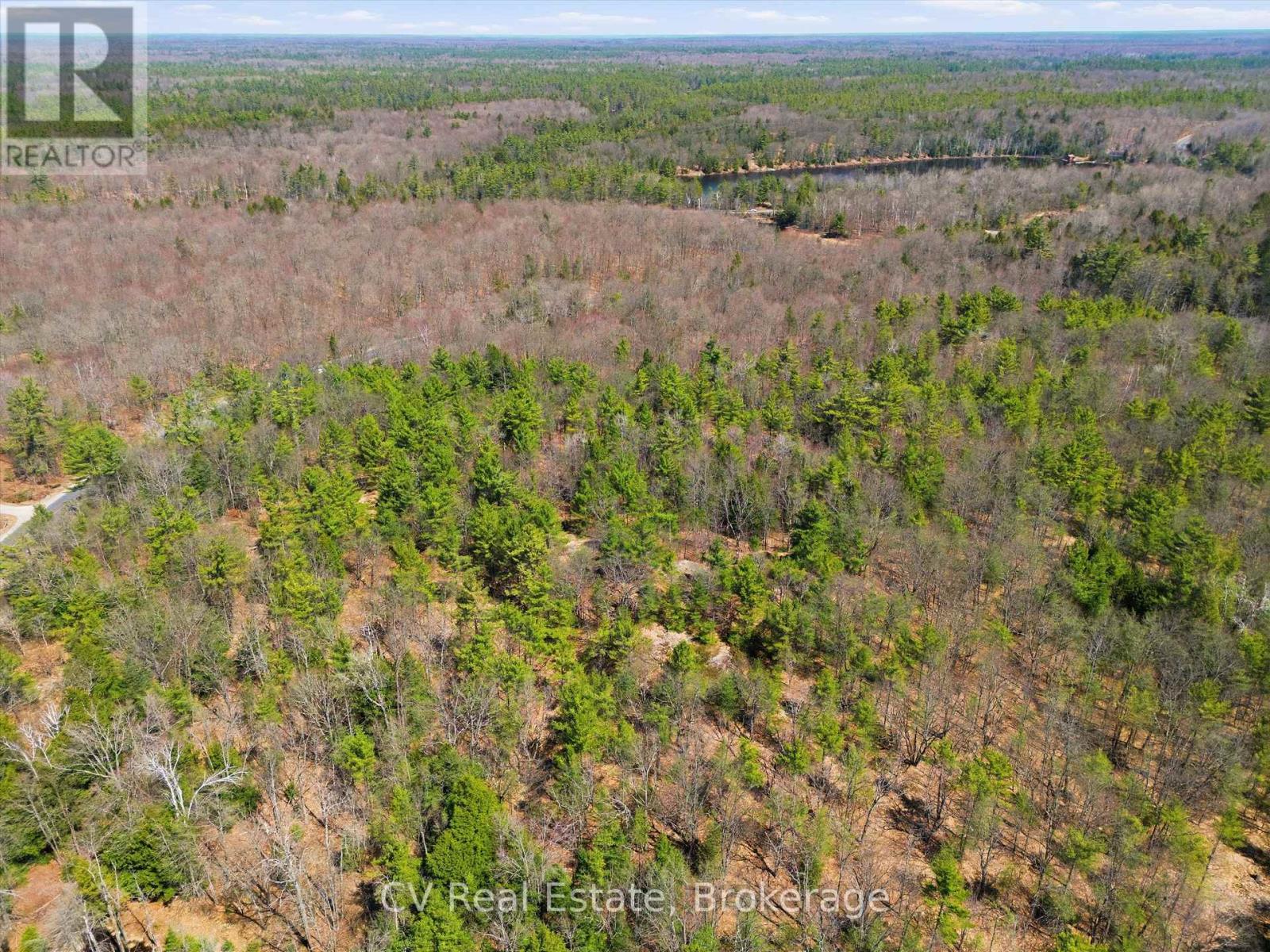 1671 Muskoka Rd 38, Muskoka Lakes, Ontario  P0C 1A0 - Photo 11 - X13037850