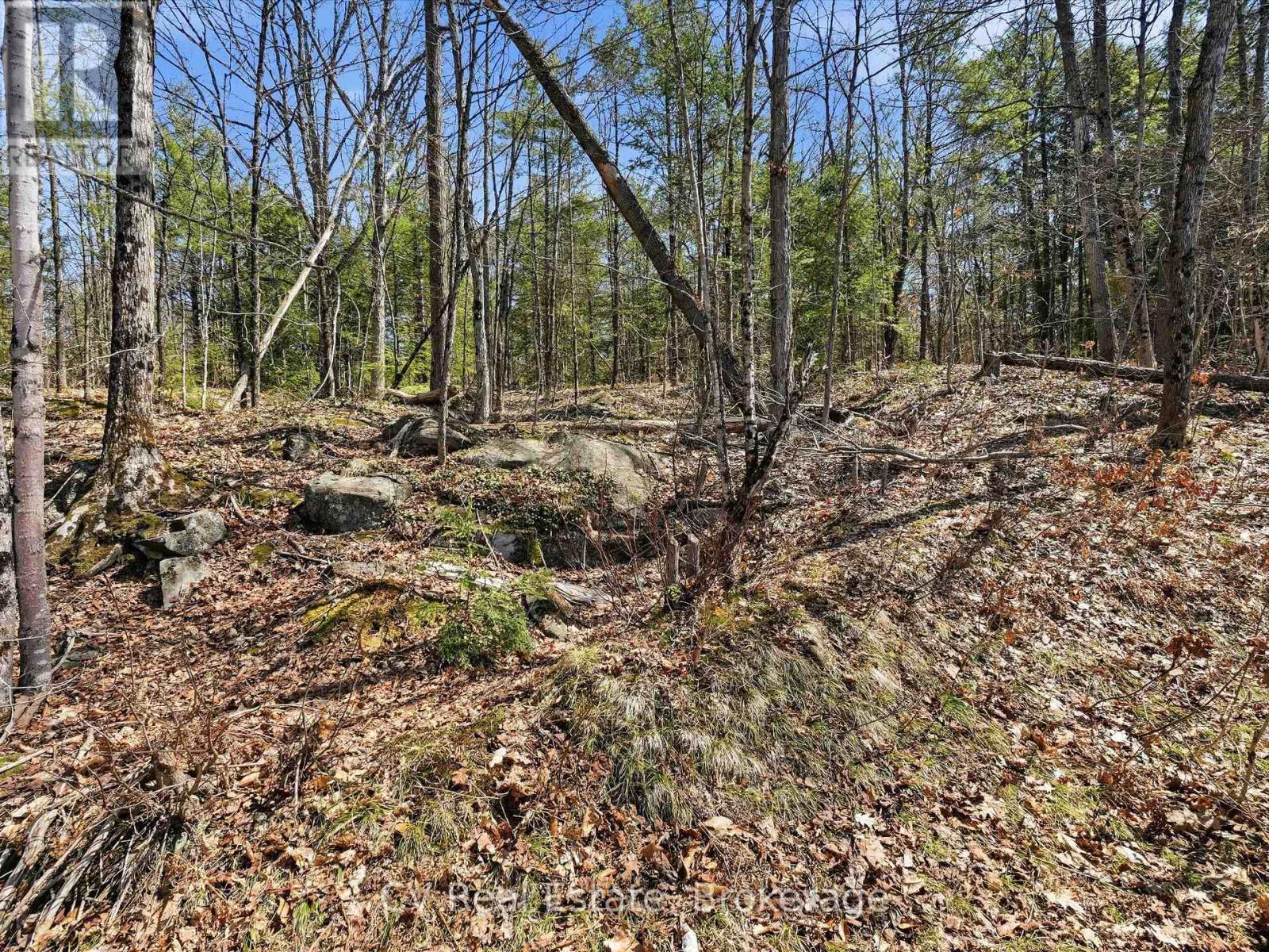 1671 Muskoka Rd 38, Muskoka Lakes, Ontario  P0C 1A0 - Photo 17 - X13037850