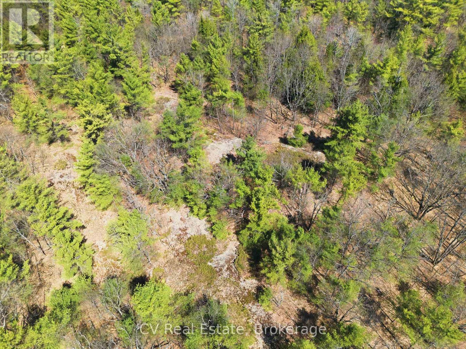 1671 Muskoka Rd 38, Muskoka Lakes, Ontario  P0C 1A0 - Photo 18 - X13037850