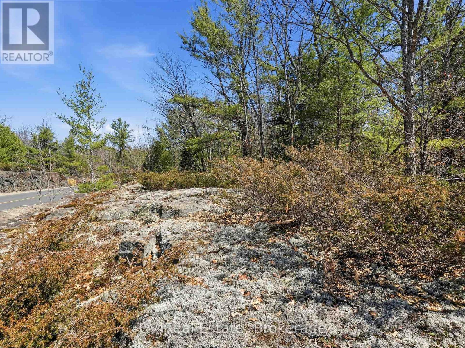 1671 Muskoka Rd 38, Muskoka Lakes, Ontario  P0C 1A0 - Photo 19 - X13037850