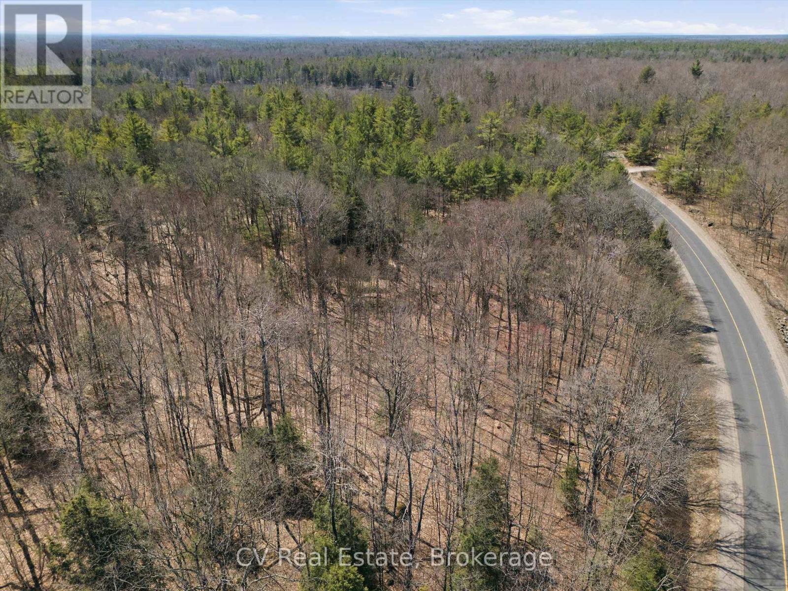 1671 Muskoka Rd 38, Muskoka Lakes, Ontario  P0C 1A0 - Photo 2 - X13037850