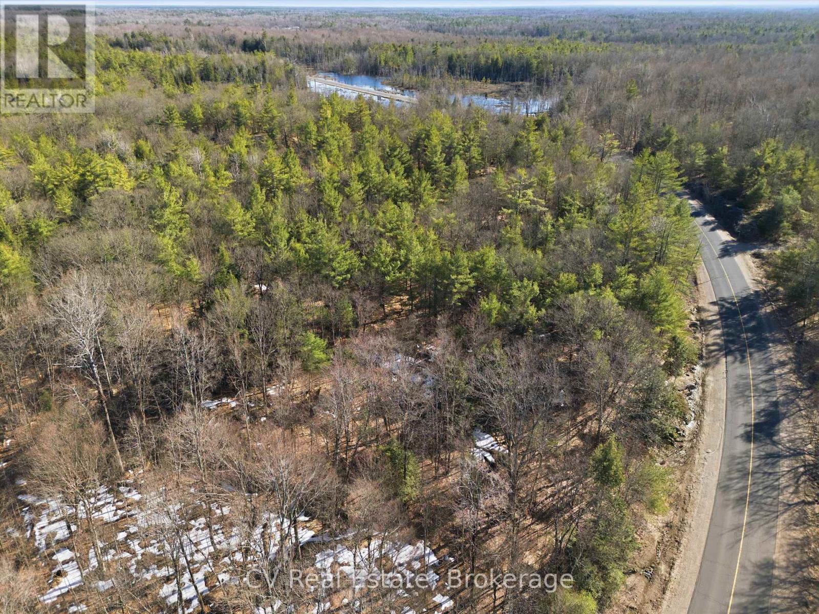 1671 Muskoka Rd 38, Muskoka Lakes, Ontario  P0C 1A0 - Photo 20 - X13037850