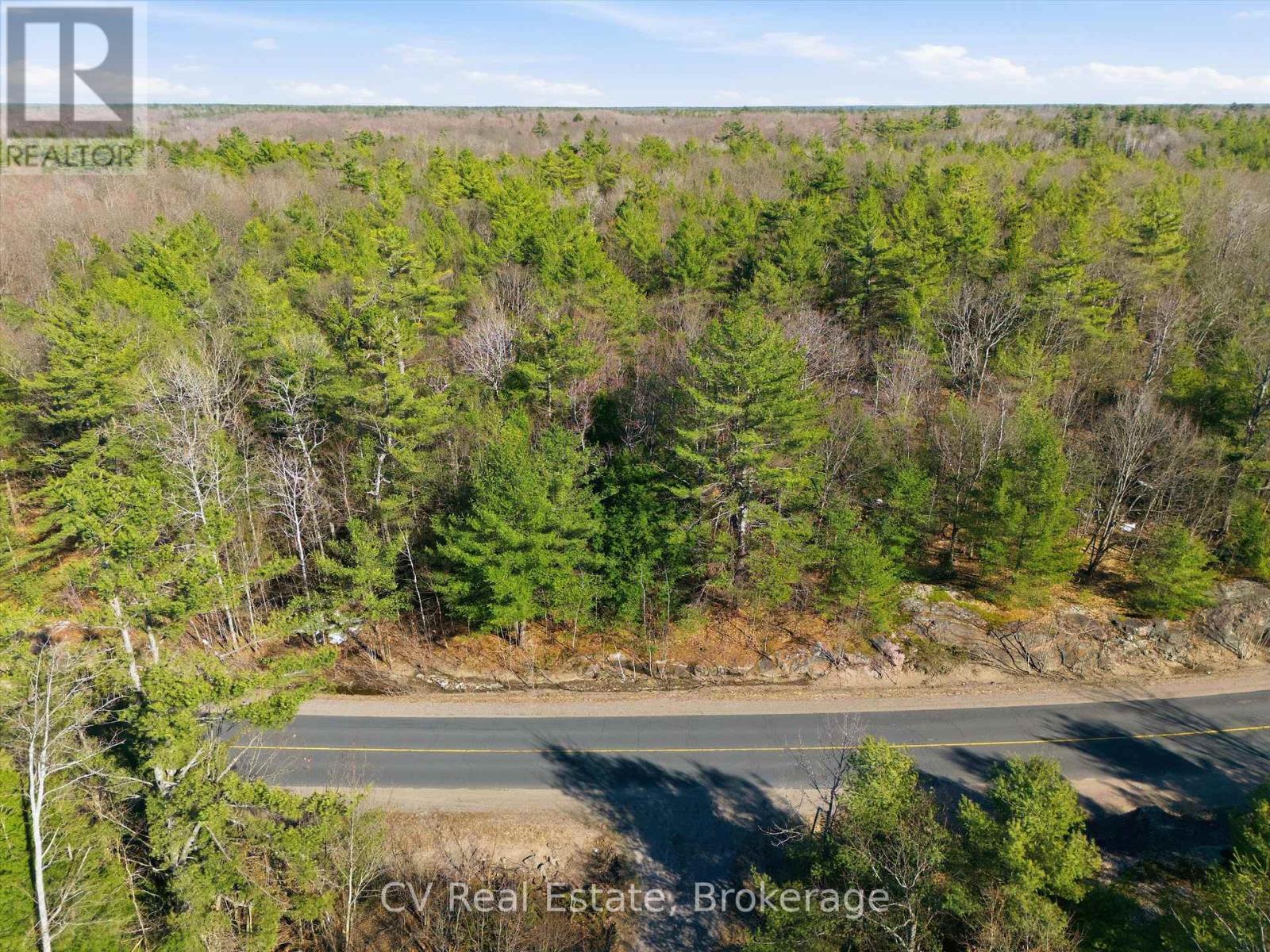 1671 Muskoka Rd 38, Muskoka Lakes, Ontario  P0C 1A0 - Photo 21 - X13037850