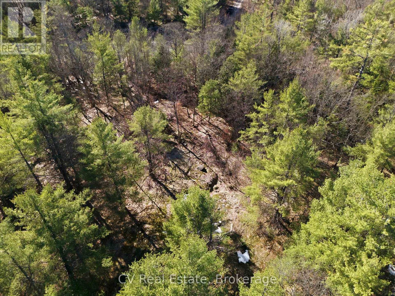 1671 Muskoka Rd 38, Muskoka Lakes, Ontario  P0C 1A0 - Photo 22 - X13037850