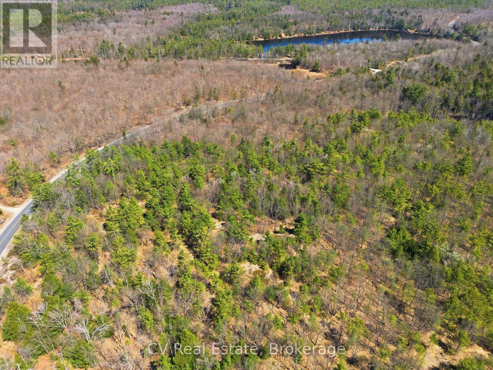 1671 Muskoka Rd 38, Muskoka Lakes, Ontario  P0C 1A0 - Photo 3 - X13037850