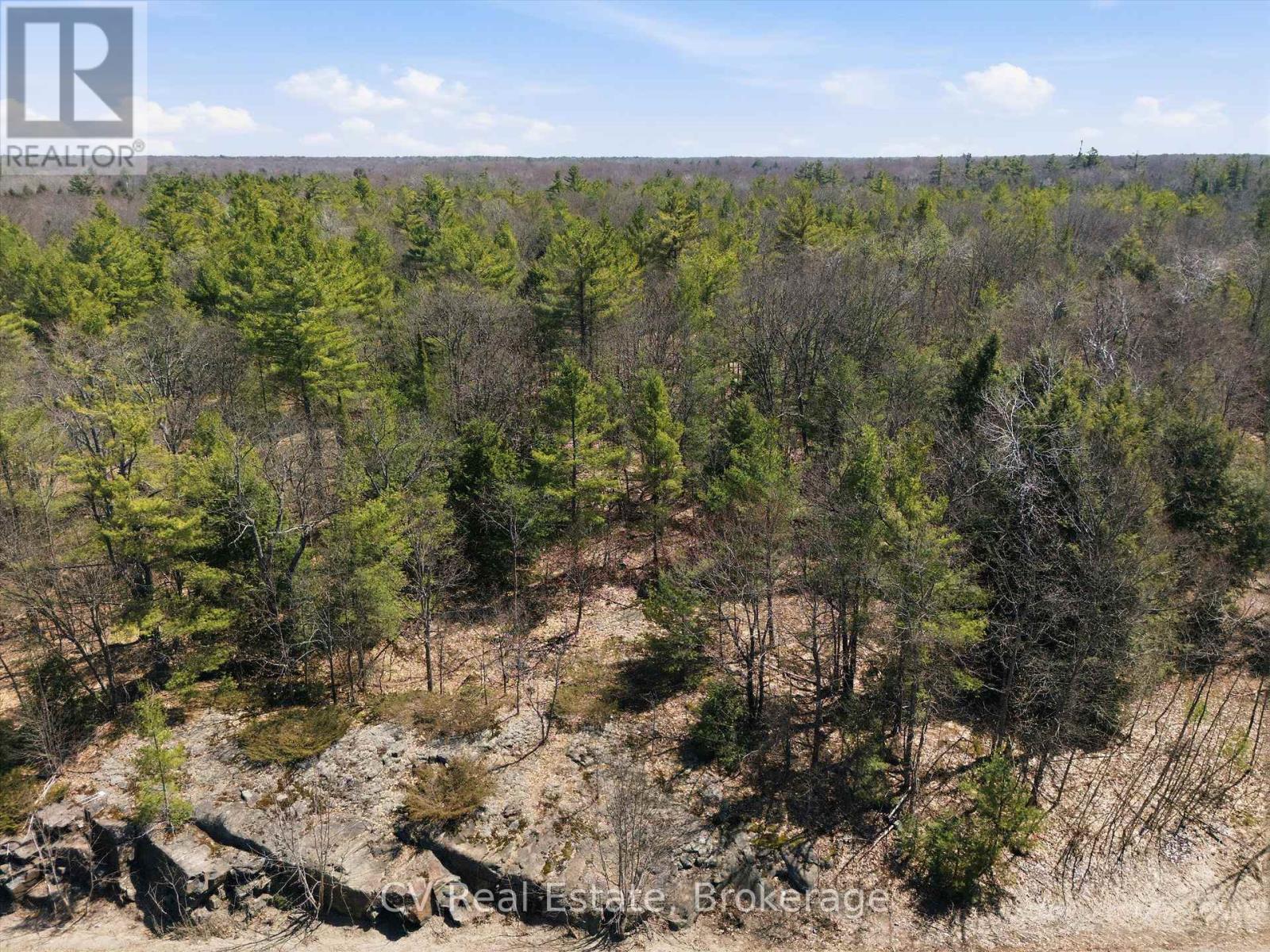 1671 Muskoka Rd 38, Muskoka Lakes, Ontario  P0C 1A0 - Photo 4 - X13037850