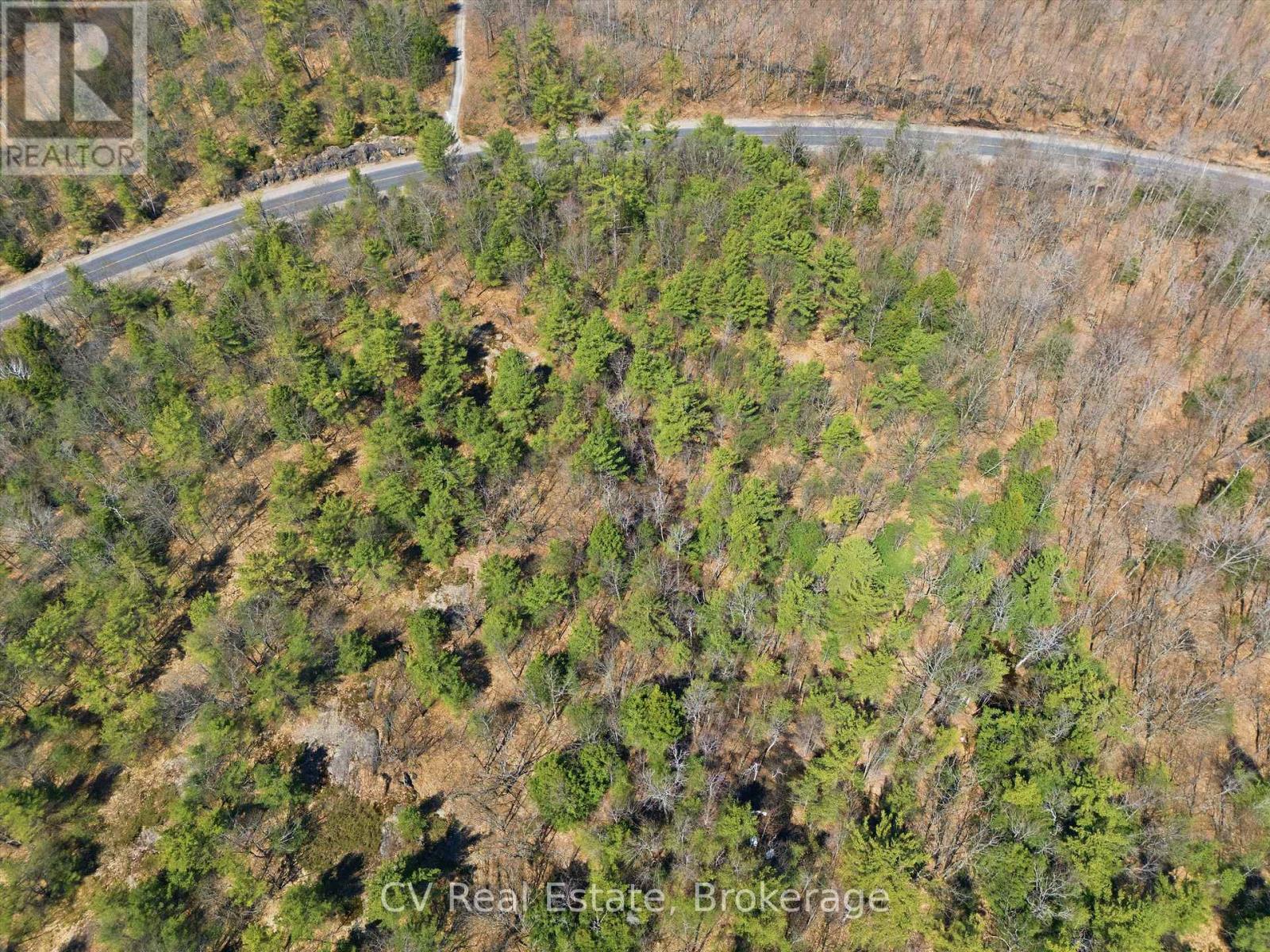 1671 Muskoka Rd 38, Muskoka Lakes, Ontario  P0C 1A0 - Photo 5 - X13037850