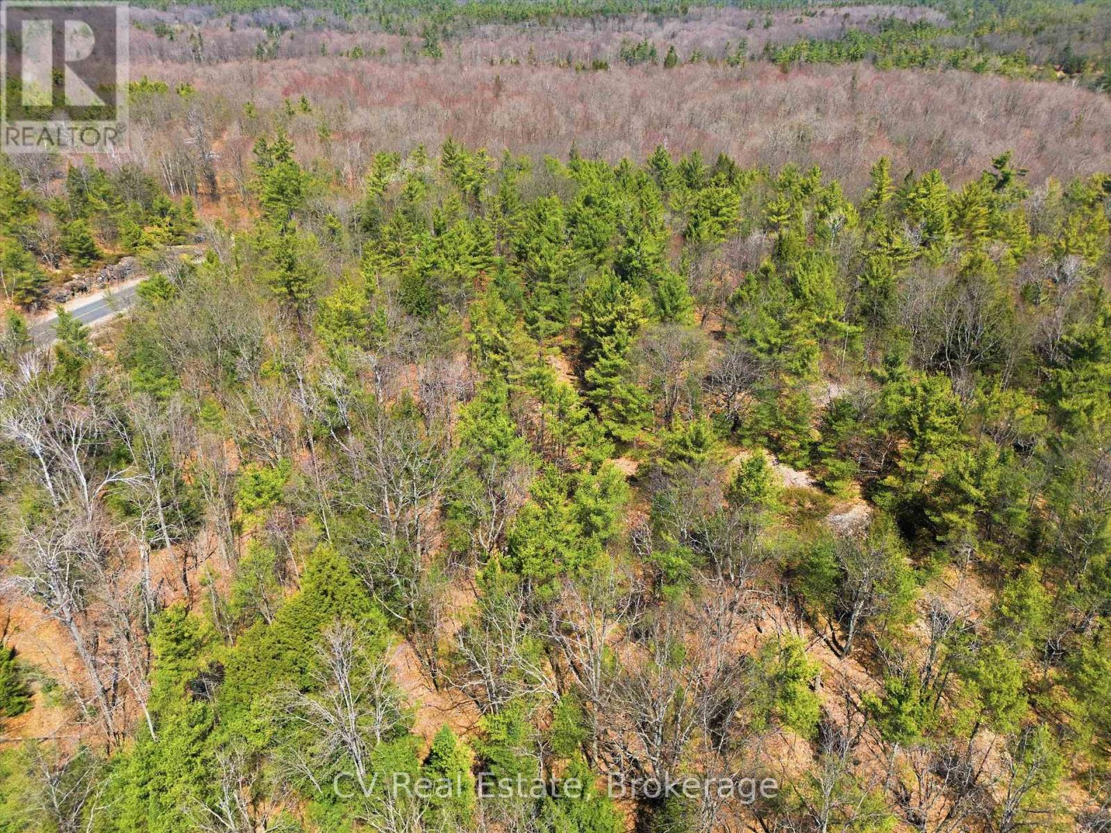 1671 Muskoka Rd 38, Muskoka Lakes, Ontario  P0C 1A0 - Photo 9 - X13037850