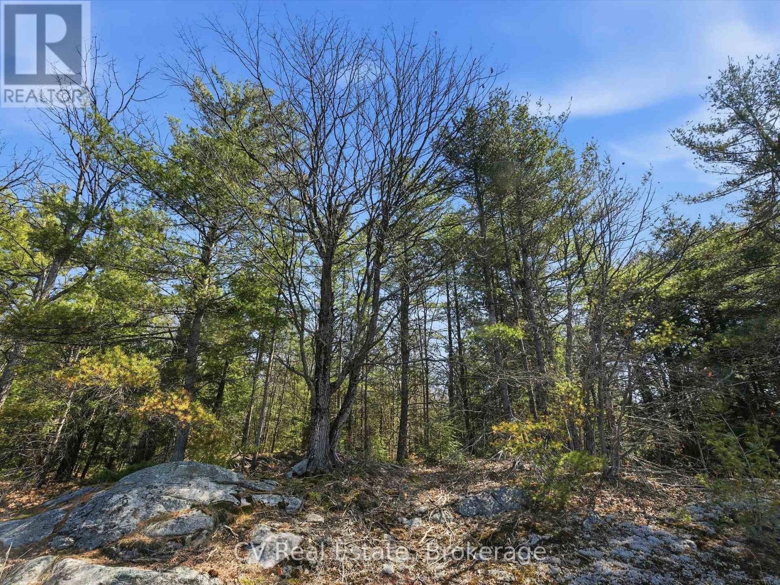 1673 Muskoka Rd 38, Muskoka Lakes, Ontario  P0C 1A0 - Photo 10 - X13037852