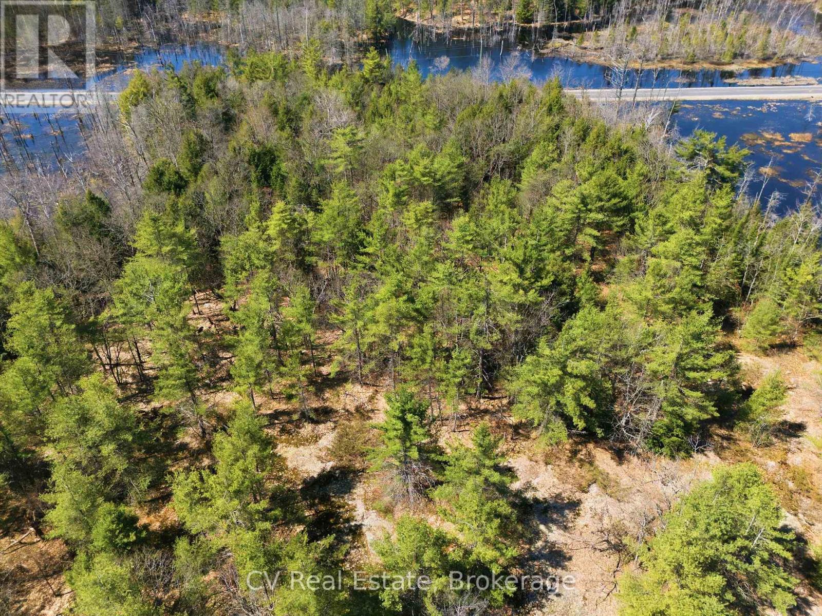 1673 Muskoka Rd 38, Muskoka Lakes, Ontario  P0C 1A0 - Photo 12 - X13037852