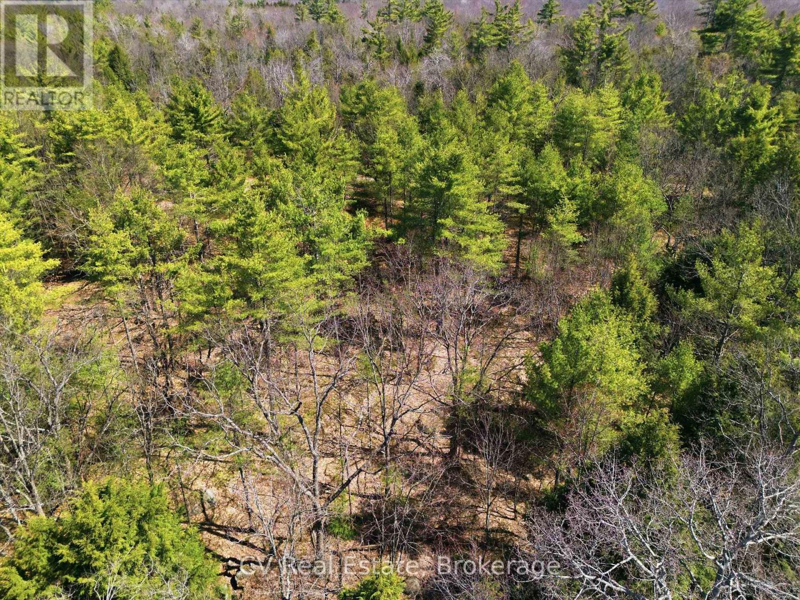 1673 Muskoka Rd 38, Muskoka Lakes, Ontario  P0C 1A0 - Photo 13 - X13037852