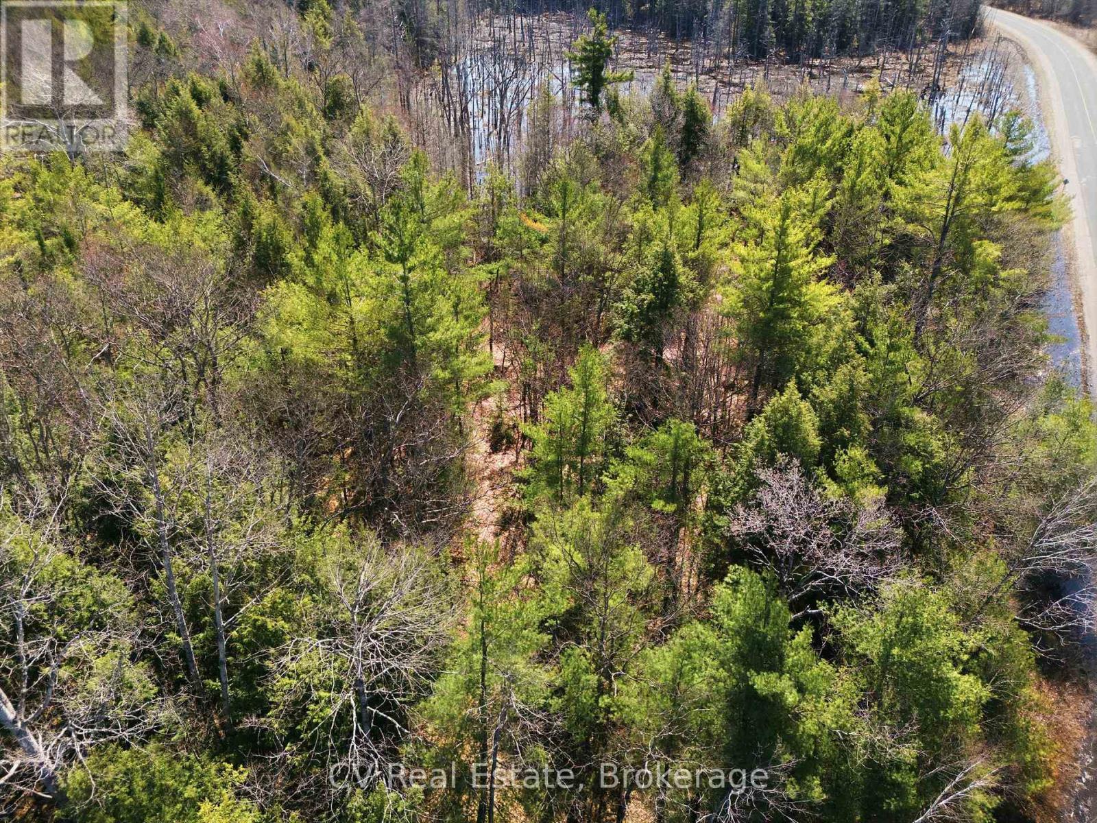 1673 Muskoka Rd 38, Muskoka Lakes, Ontario  P0C 1A0 - Photo 14 - X13037852