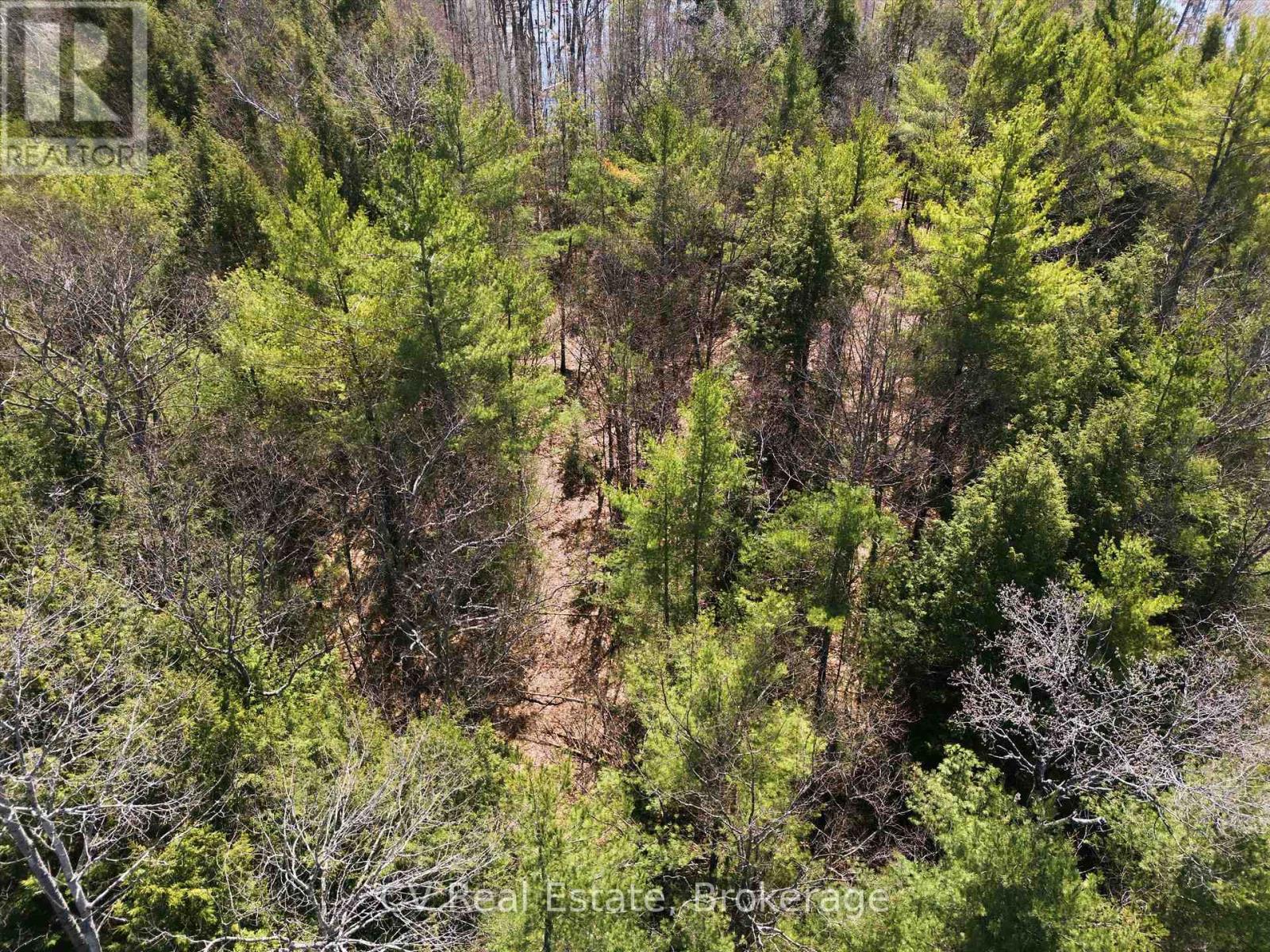 1673 Muskoka Rd 38, Muskoka Lakes, Ontario  P0C 1A0 - Photo 15 - X13037852