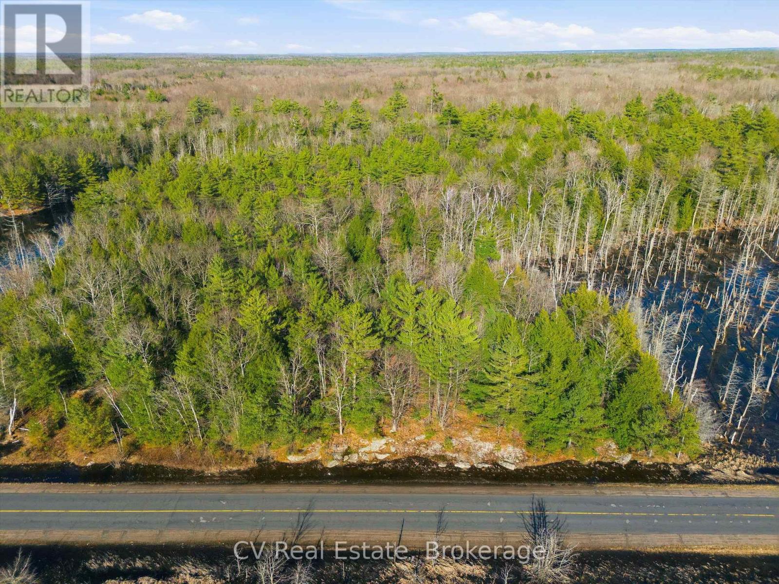 1673 Muskoka Rd 38, Muskoka Lakes, Ontario  P0C 1A0 - Photo 18 - X13037852