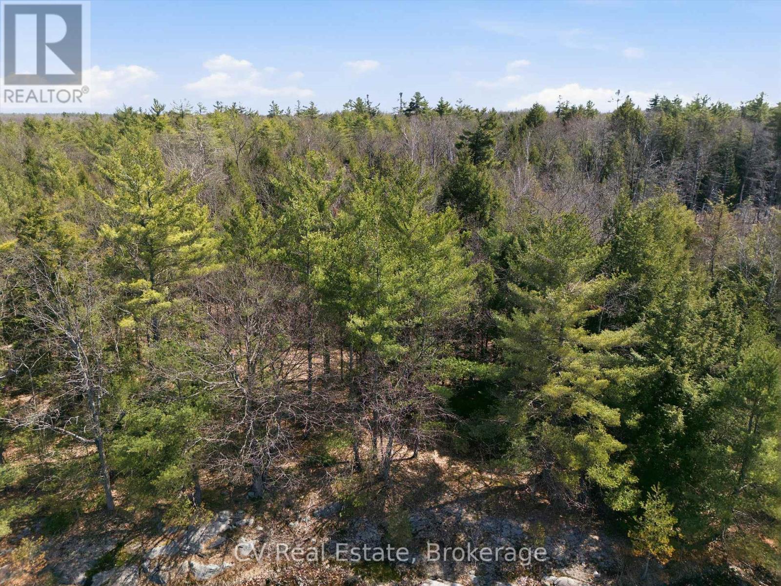 1673 Muskoka Rd 38, Muskoka Lakes, Ontario  P0C 1A0 - Photo 2 - X13037852