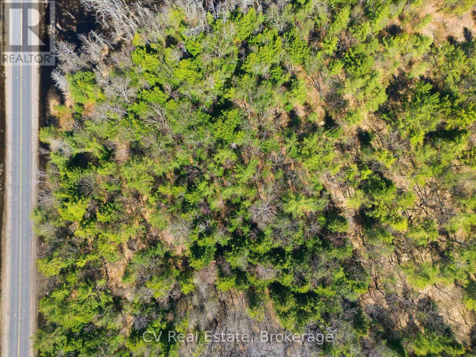 1673 Muskoka Rd 38, Muskoka Lakes, Ontario  P0C 1A0 - Photo 3 - X13037852