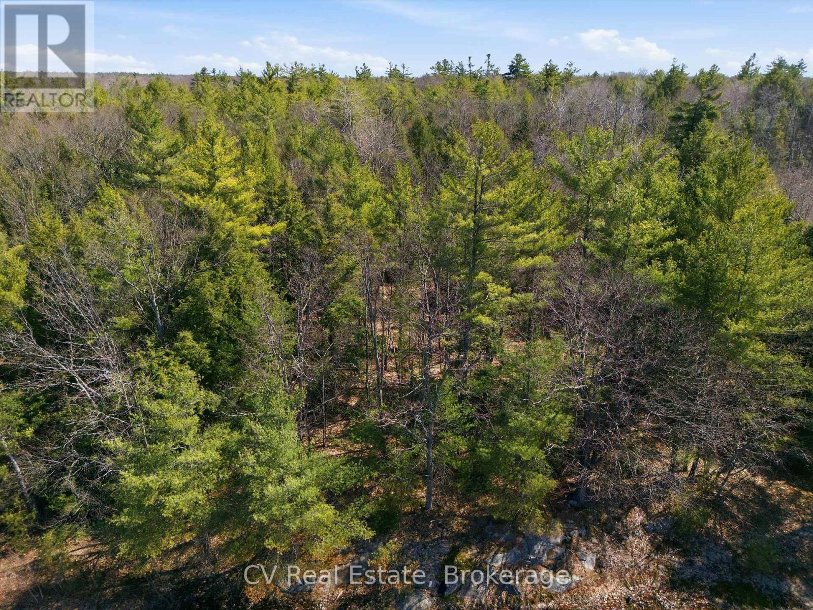 1673 Muskoka Rd 38, Muskoka Lakes, Ontario  P0C 1A0 - Photo 4 - X13037852