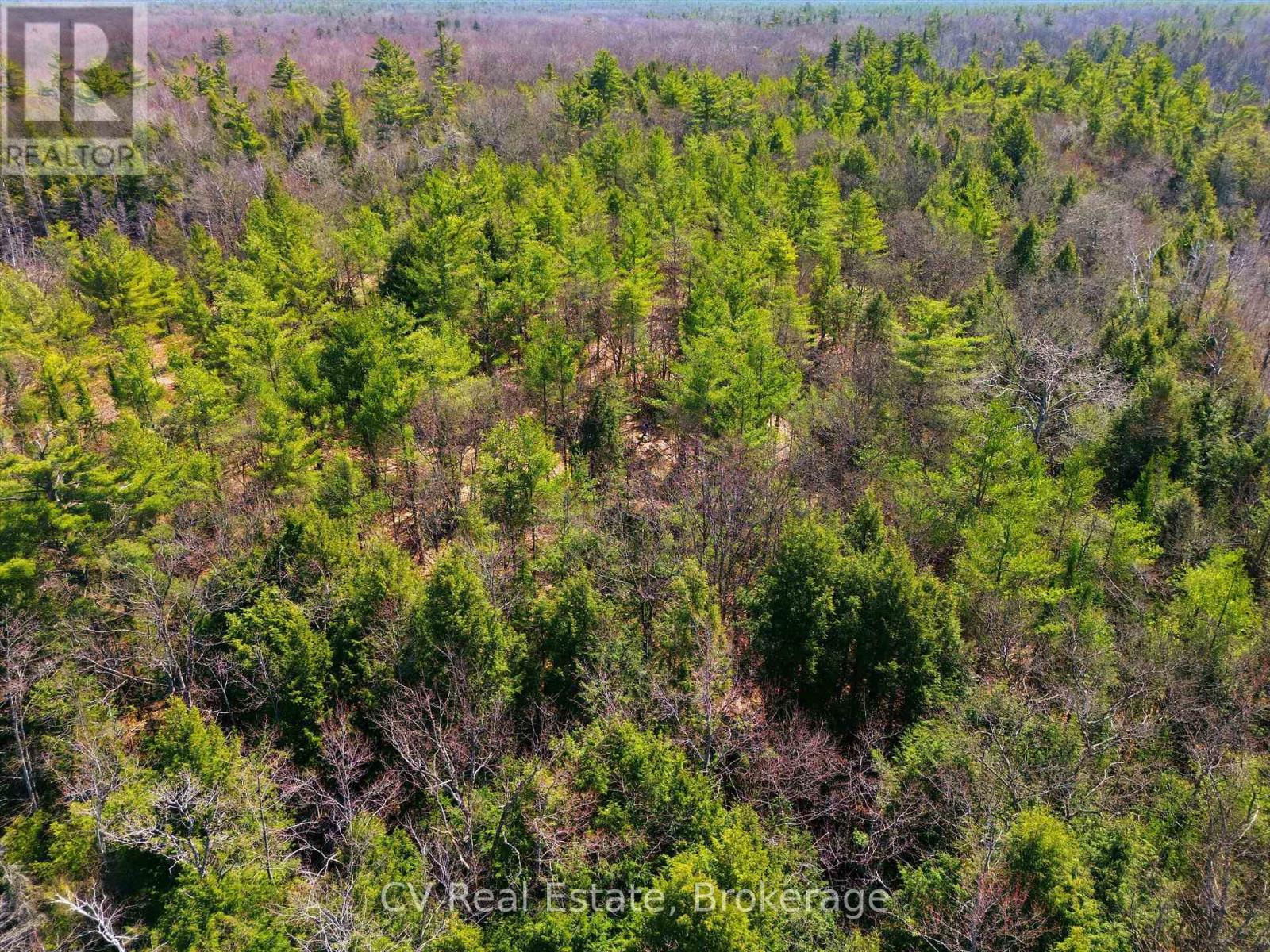 1673 Muskoka Rd 38, Muskoka Lakes, Ontario  P0C 1A0 - Photo 5 - X13037852