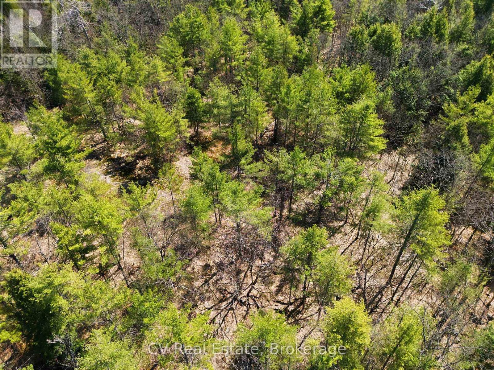 1673 Muskoka Rd 38, Muskoka Lakes, Ontario  P0C 1A0 - Photo 6 - X13037852