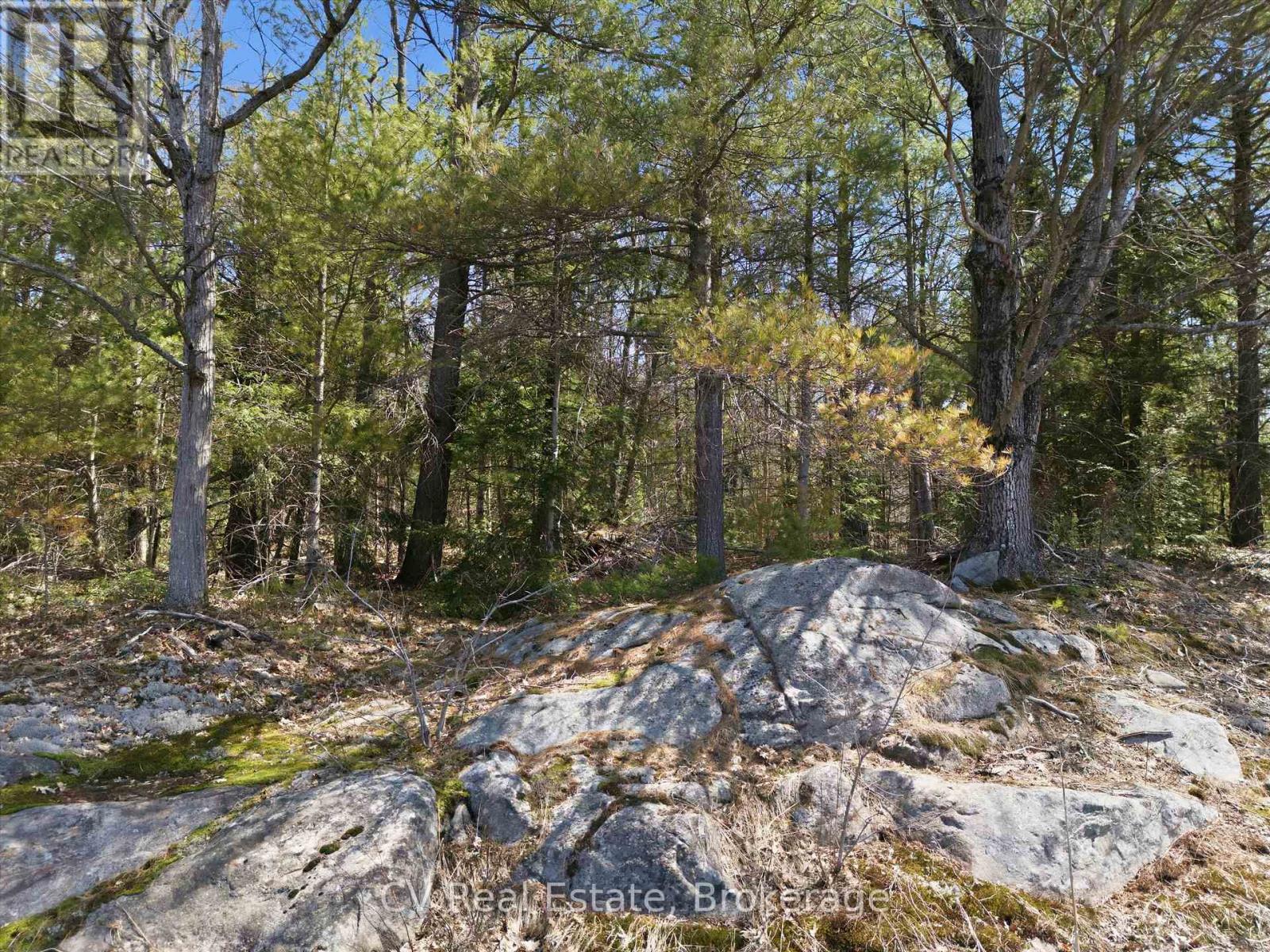 1673 Muskoka Rd 38, Muskoka Lakes, Ontario  P0C 1A0 - Photo 7 - X13037852