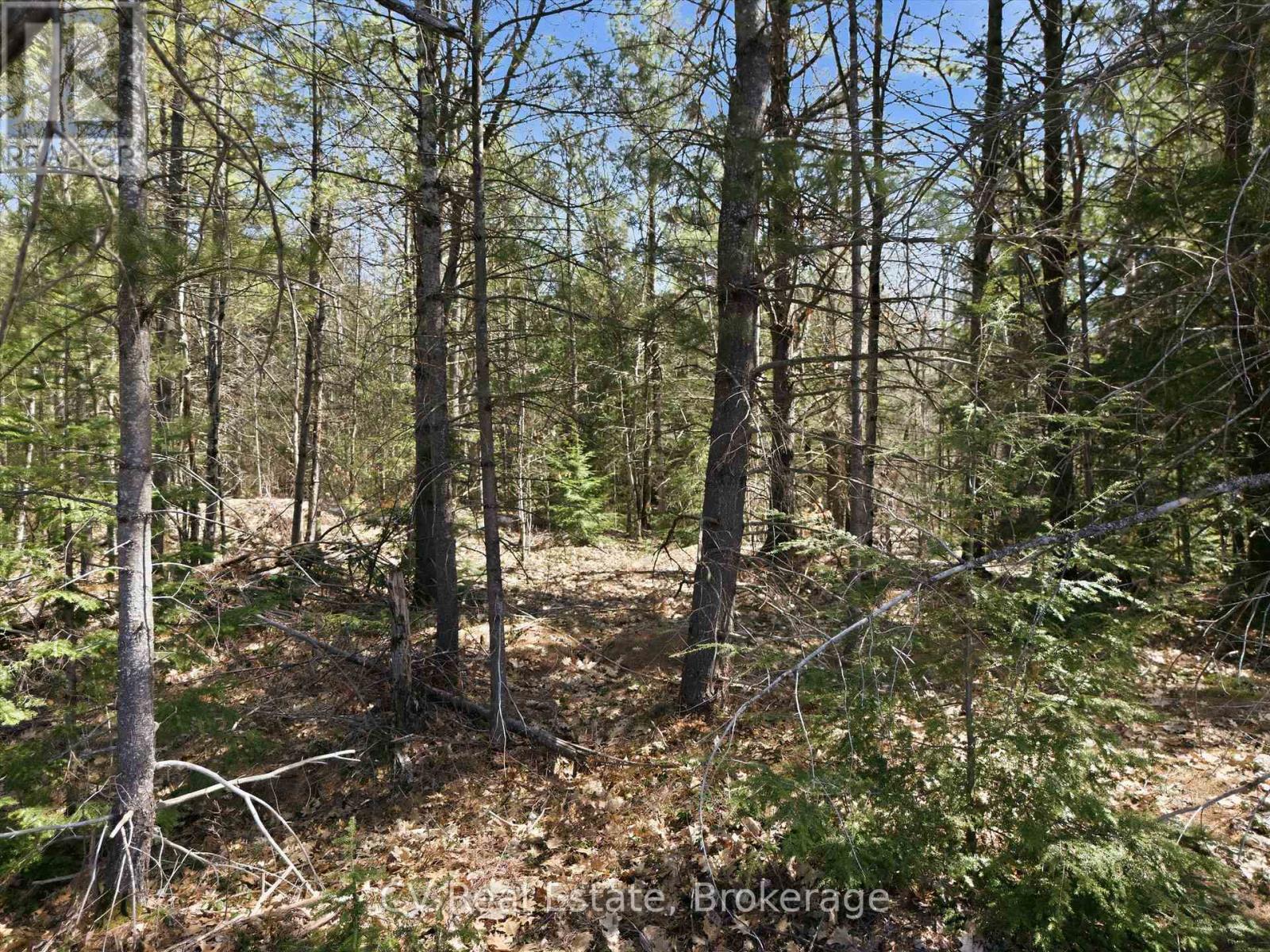 1673 Muskoka Rd 38, Muskoka Lakes, Ontario  P0C 1A0 - Photo 8 - X13037852