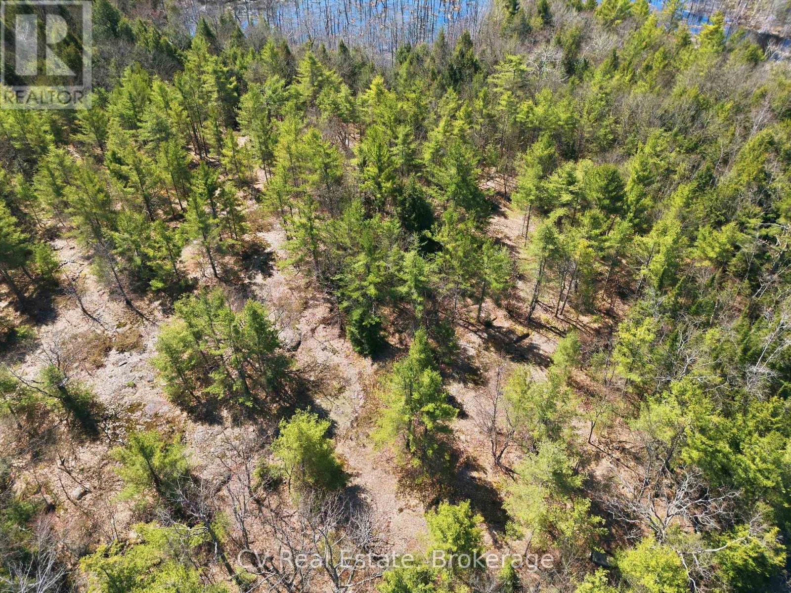 1673 Muskoka Rd 38, Muskoka Lakes, Ontario  P0C 1A0 - Photo 9 - X13037852