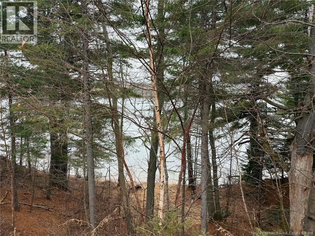 286 River Road, Sunny Corner, New Brunswick  E9E 1W1 - Photo 2 - NB133278