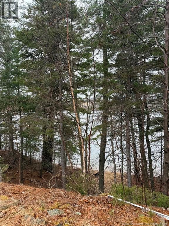 286 River Road, Sunny Corner, New Brunswick  E9E 1W1 - Photo 4 - NB133278