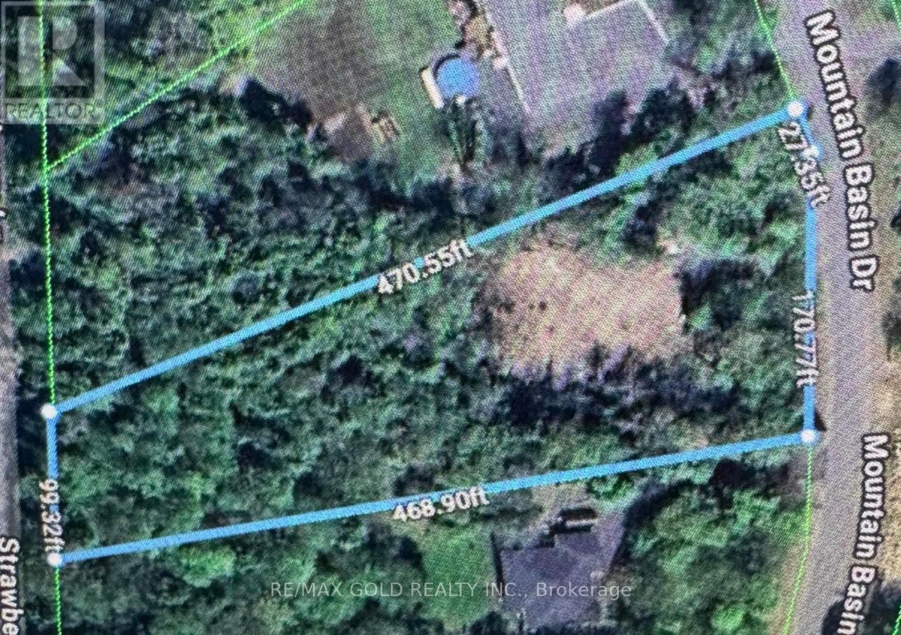 5 MOUNTAIN BASIN DRIVE, McDougall, Ontario