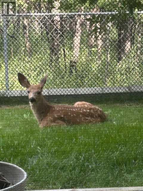 2108, 2518 Fish Creek Boulevard SW, Calgary, Alberta  T2Y 4T6 - Photo 21 - A2299613