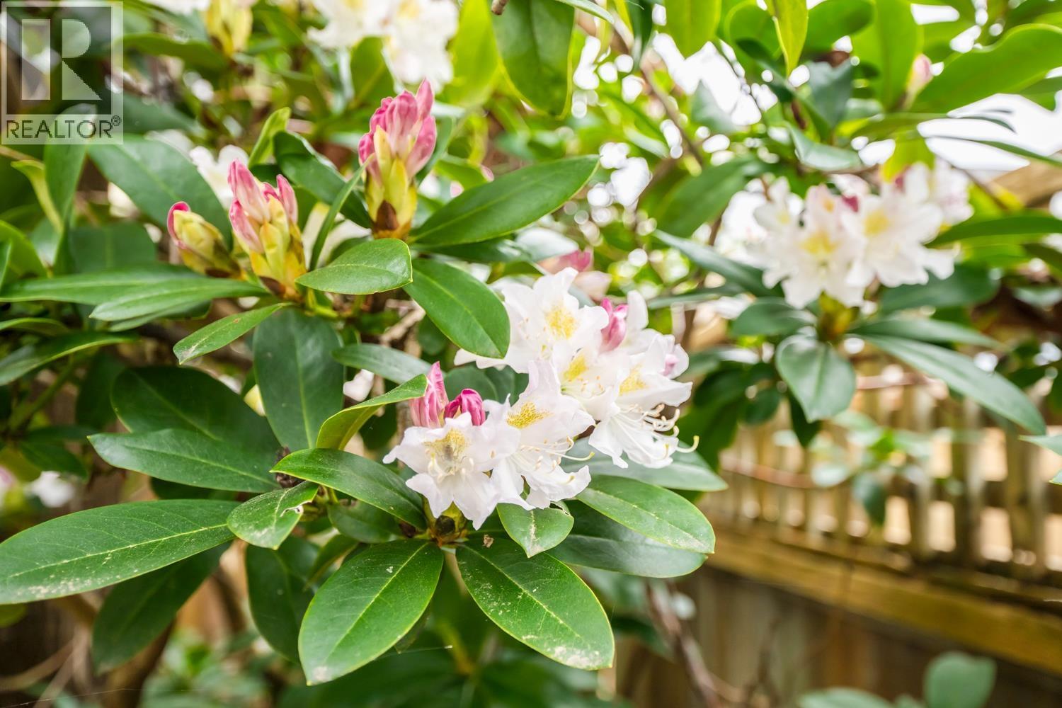 D 3439 E 43rd Avenue, Vancouver, British Columbia  V5R 5X9 - Photo 22 - R3115254