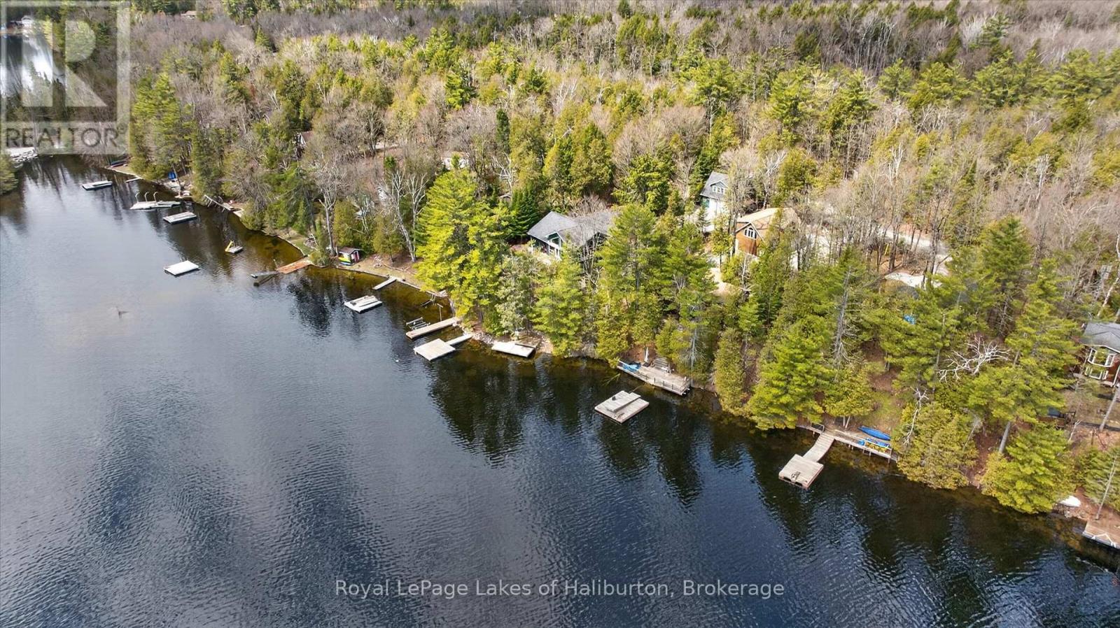 54 Clearview Drive, Trent Lakes, Ontario  K0M 2A0 - Photo 40 - X13038068