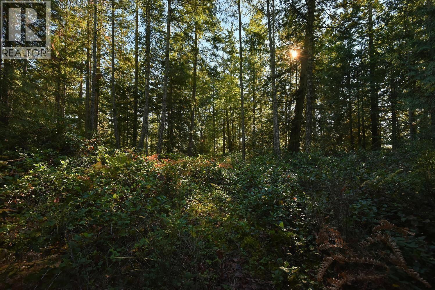 10113 10131 Mercer Road, Halfmoon Bay, British Columbia  V7Z 1B7 - Photo 12 - C8078177