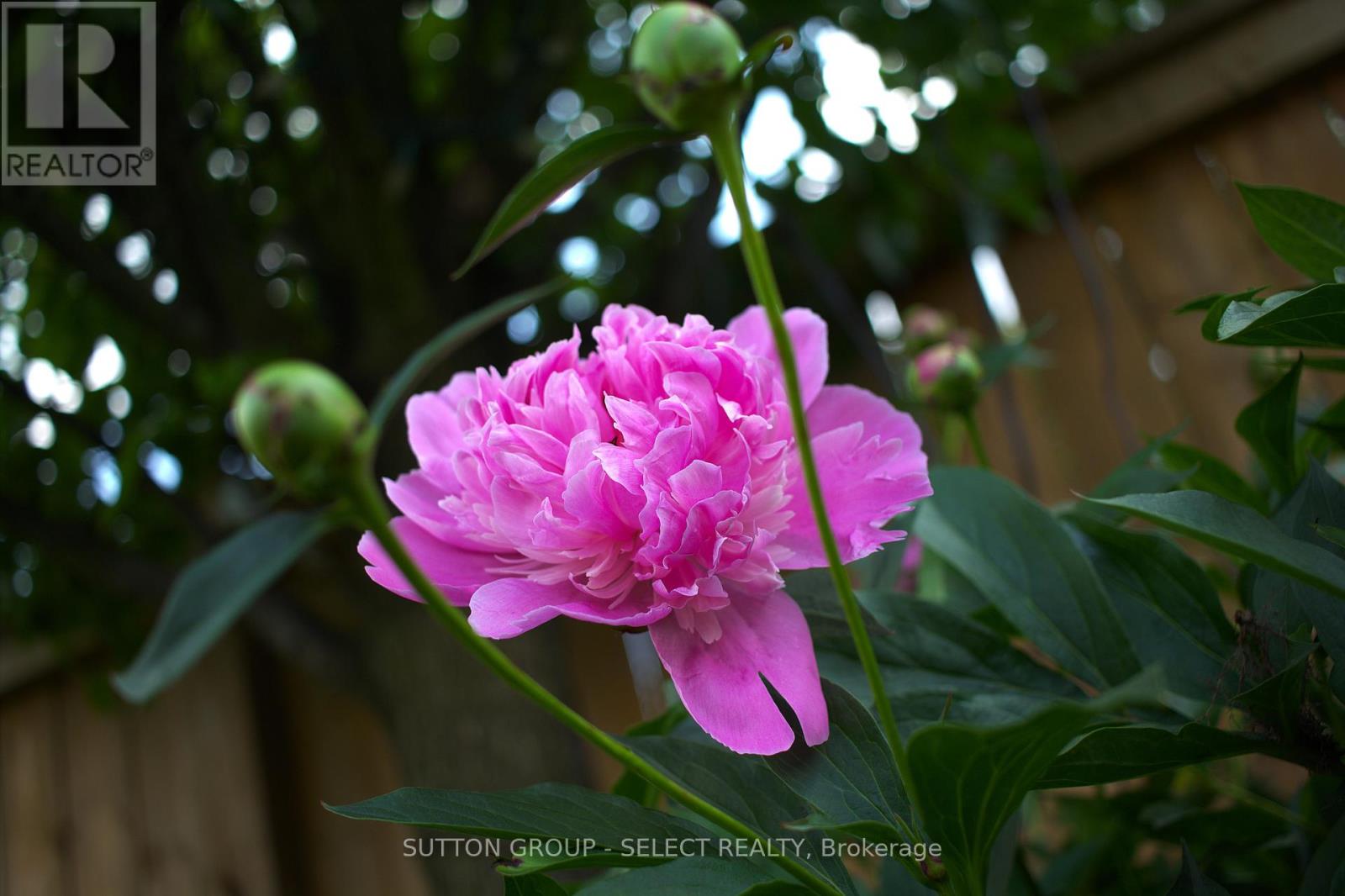 1054 Chippewa Drive, London East, Ontario  N5V 2T7 - Photo 29 - X13026742