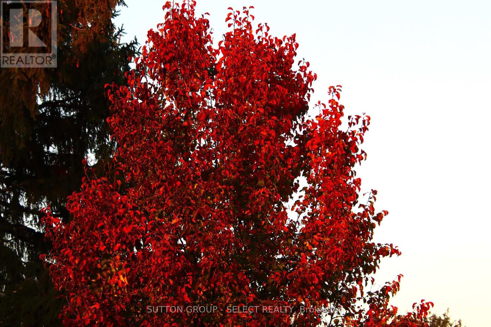 1054 Chippewa Drive, London East, Ontario  N5V 2T7 - Photo 32 - X13026742