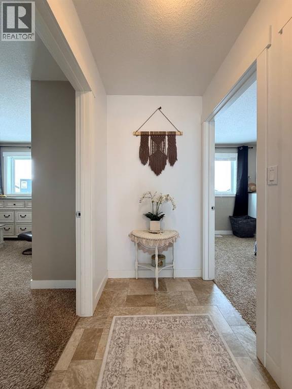 9926 110 Street, La Crete, Alberta  T0H 2H0 - Photo 25 - A2291529