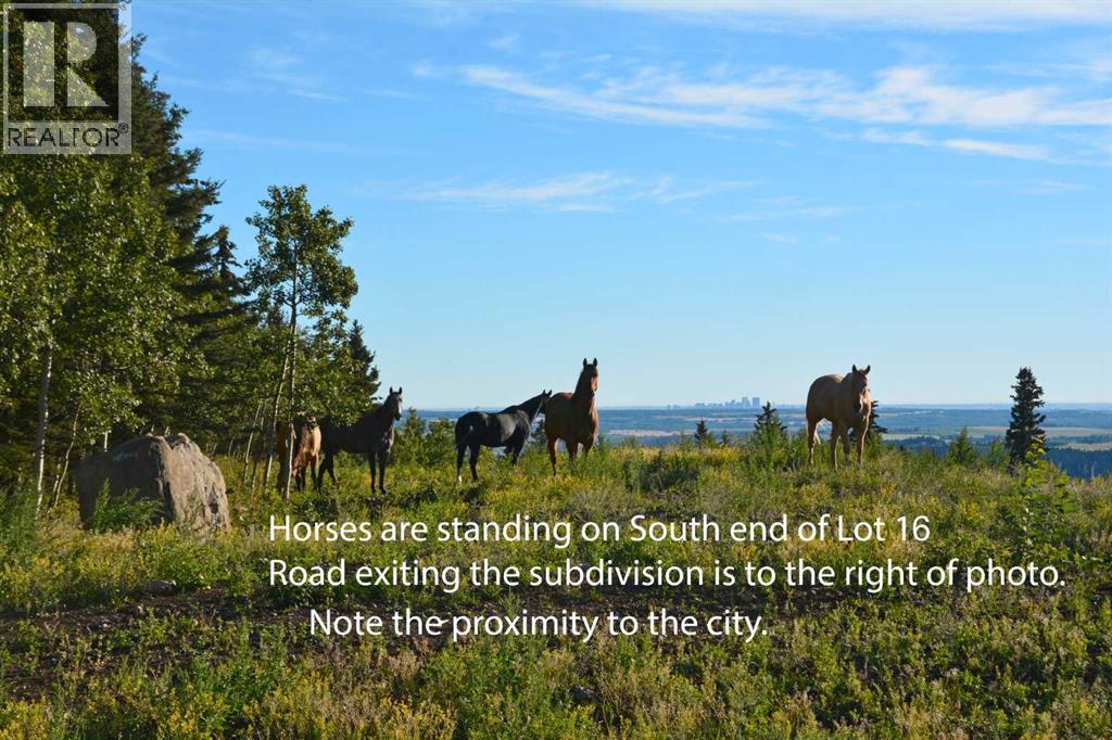 256142 Whiskey Springs Hill W, Rural Foothills County, Alberta  T0L 1W4 - Photo 16 - A2280993