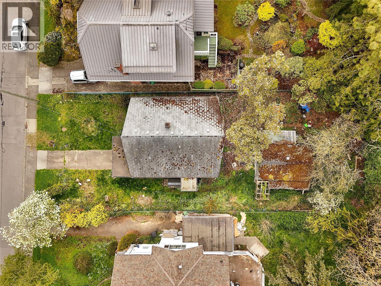 2728 Avebury Ave, Victoria, British Columbia  V8R 3W4 - Photo 4 - 1032420